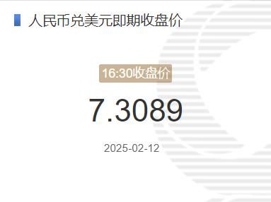 2月12日人民币兑美元即期收盘价报7.3089 较上一交易日下调28个基点(2025年02月12日)
